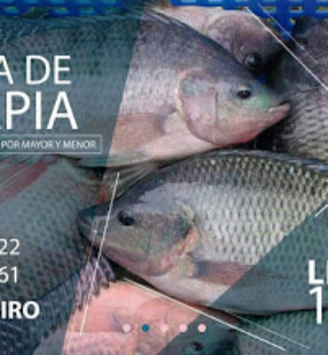 FB_IMG_1592418168174